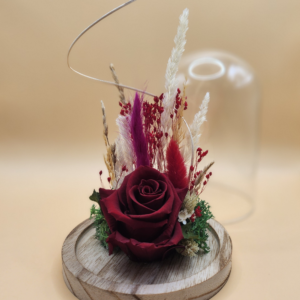 Rose éternelle sous cloche