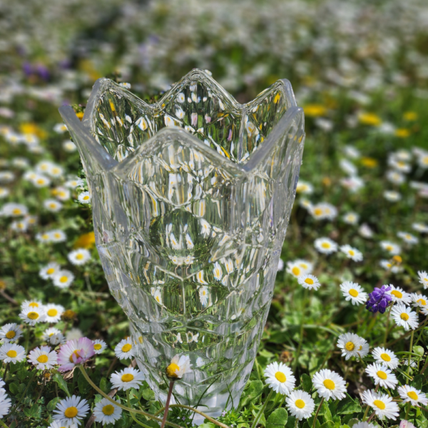 Vasse en verre