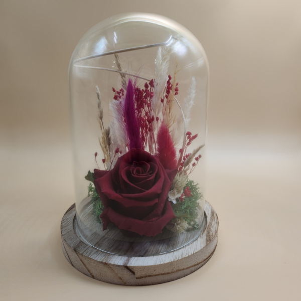 Rose éternelle cloche en verre – Image 2
