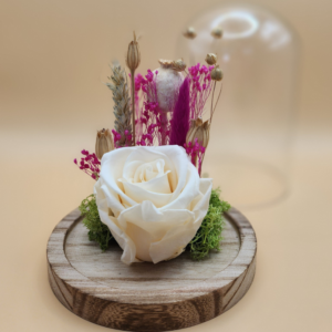 Rose éternelle blanche sous cloche